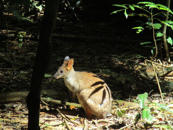 ... und auch dieser kleine Freund war dort 