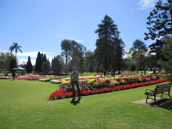 ... und richtig viele dann im Queens Park Garden 