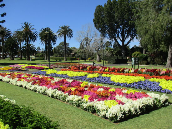 Wirklich schön anzusehen 