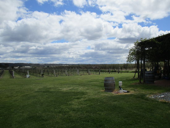 Winery @ Granite Belt Wine Country