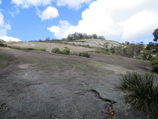 Auch heute geht es steil bergauf...