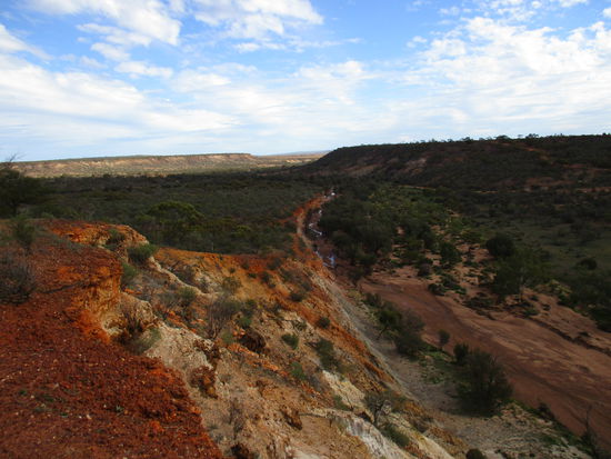 @ Coalseam Conservation Park