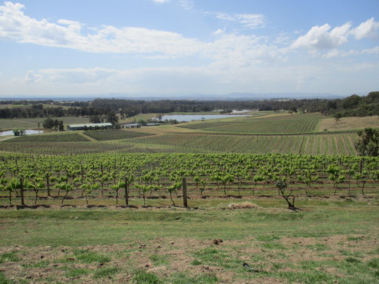 @ Hunter Valley