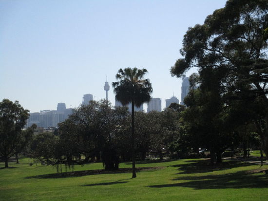 Blick auf die Skyline von Sydney vom Victoria Park aus gesehen