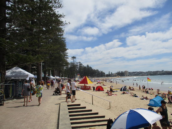 Manly Beach