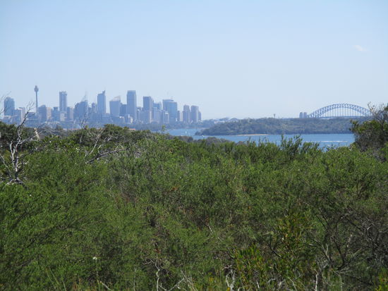 Sydney Skyline aus der Ferne