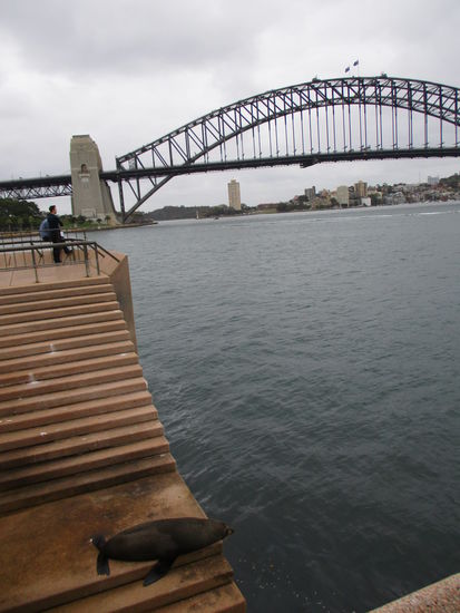 ... waren wir nicht die einzigen, die die Aussicht genossen haben... 