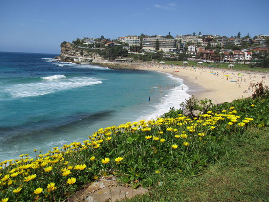 Zwischen Bronte und Bondi...