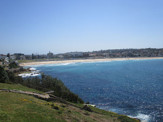 ... und hier der erste Blick auf Bondi Beach 