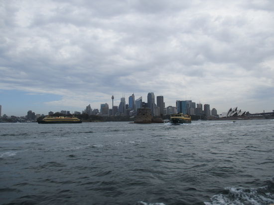 Ein letztes Mal die Skyline von Sydney 