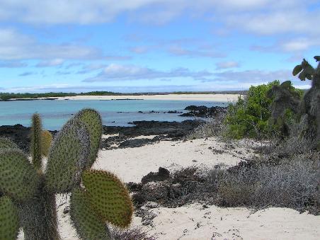 Isla Santa Cruz