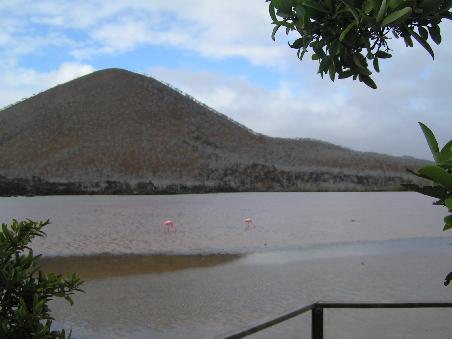 Florena