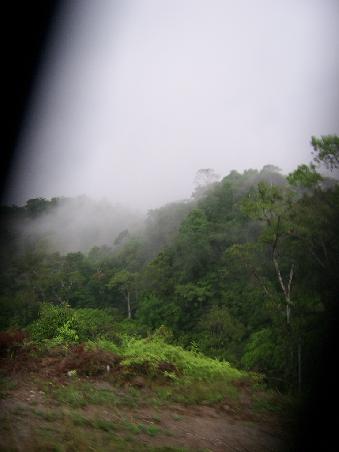 ...rein in den Amazonas