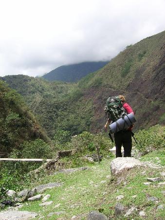 Immer bergab, rein in die Yungas