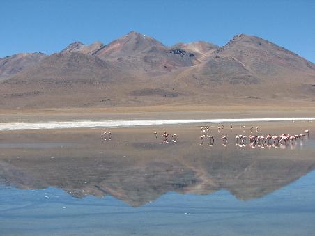 Laguna Blanca