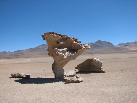 Pierda de Arbol ("Steinbaum")