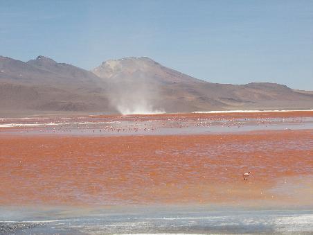 Laguna Colorada