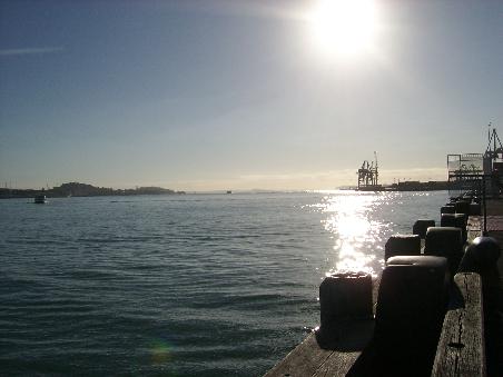 Auckland am Morgen - kaelter als es aussieht