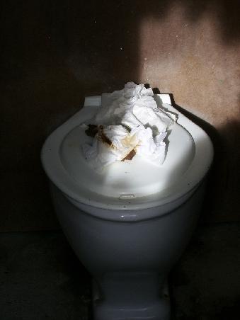 ...die Toilette