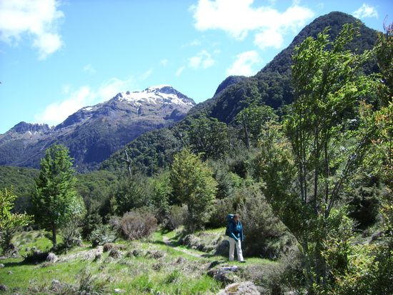 Nur kurz auf Lichtungen
