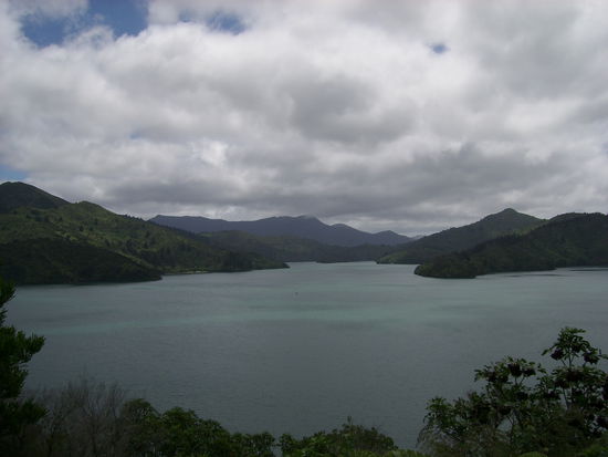 Ich musste das Auto in Picton abliefern und wurde auf der Fahrt dorthin mit schoenen Blicken ueber den Marlboroh Sound belohnt