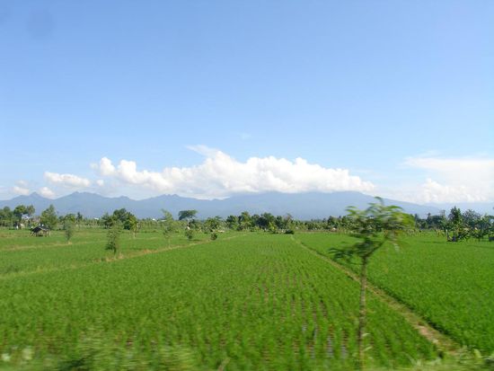 Reisfelder unterwegs