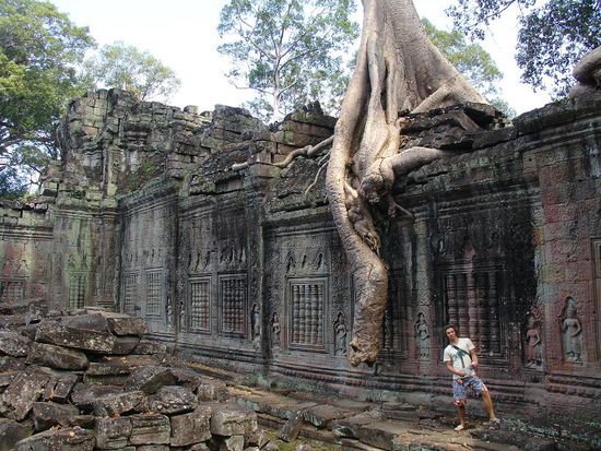 Zum Teil dem Dschungel ueberlassen