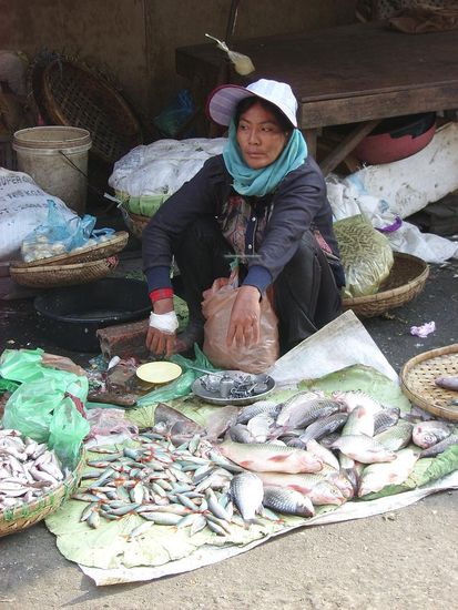 ...oder doch lieber Fisch...