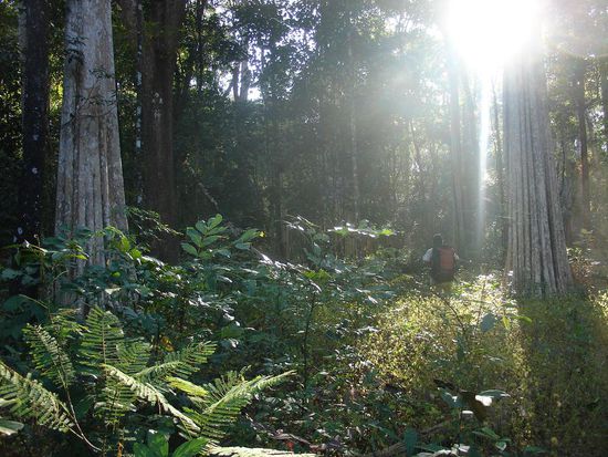 .. und die aufgehende Sonne faengt an uns ins Schwitzen zu bringen