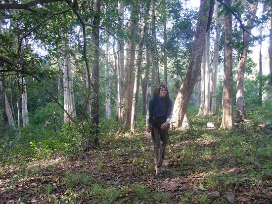 Das Laufen vertreibt die Kaelte