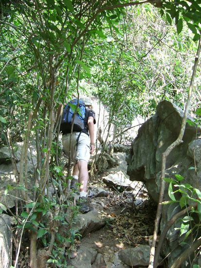 Auch einen kurzen aber schoenen Track konnte wir auf Cat Ba unternehmen...