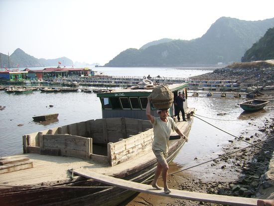 Sand wird per Schiff auf die Insel geschafft und dann wie hier zusehen ausgeladen. Ich wollte es auch versuchen, haette mich aber auf dem ersten Meter mit dem Korb auf dem Kopf fast hingepackt.