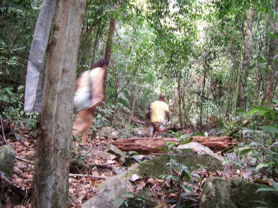 Ein kleiner Track zu einem...