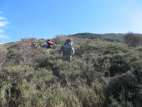 ...ein teilweise kaum noch auszumachender Pfad.