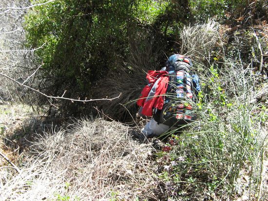 Dornenbüsche machen uns schaffen...