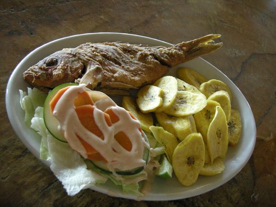 Lecker Fisch zum Mittagessen