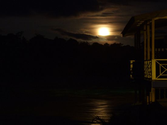 Leider kommt die Farbe des gelb-roten Vollmonds auf dem Foto nicht gut rueber