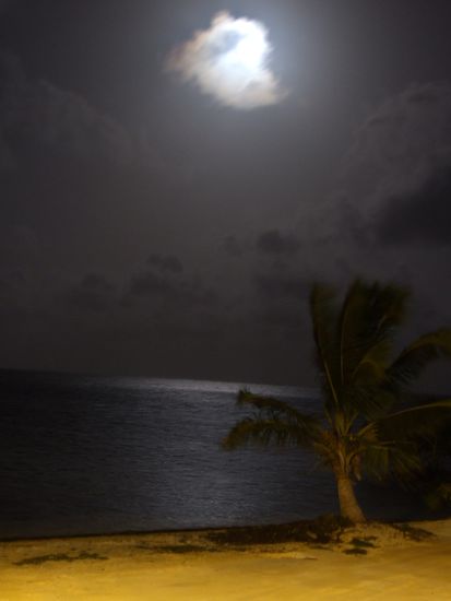 Vollmond ueber dem Meer