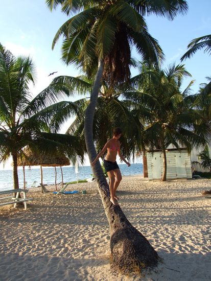 Die vollkommende Idylle