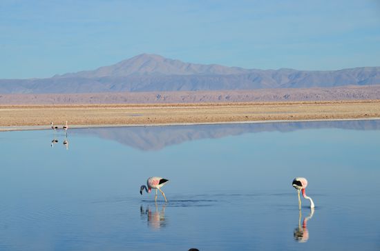 Die Spiegelungen machen hier die Fotos so attraktiv.