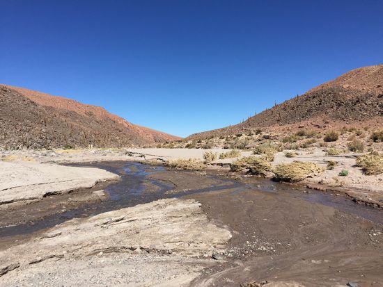 Auf dem Weg in den Cactus Canyon.