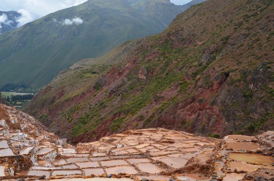 Wir fragen uns - wie erntet man hier??