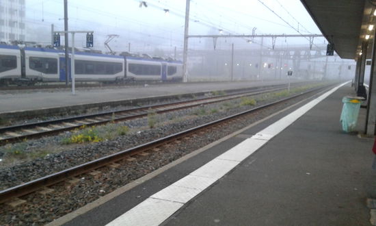 Neblig und kalt...