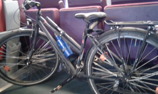 Mein Rad im TGV