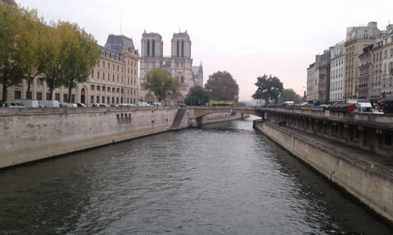 Die Seine mit Blick auf Notre Dame