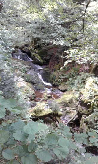 Die Cascade (Wasserfall)