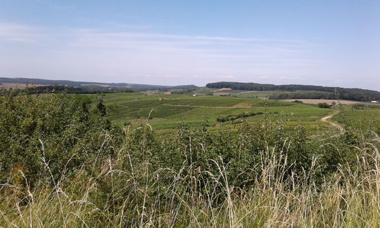 Noch mehr Wein
