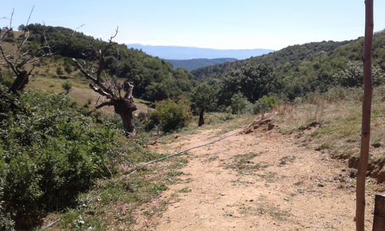 Mein täglicher Ausblick