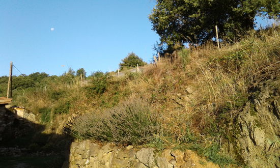 Das da oben, ist der Garten