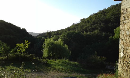 Der Gartenblick